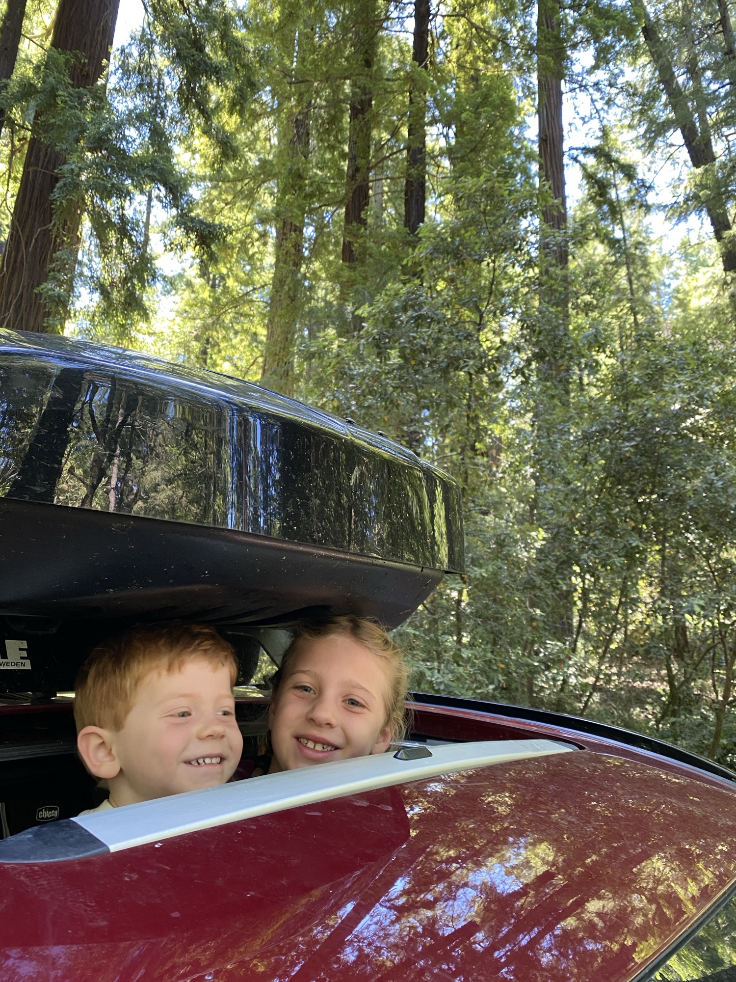 Day 8 &ndash; The Road Trip Begins!