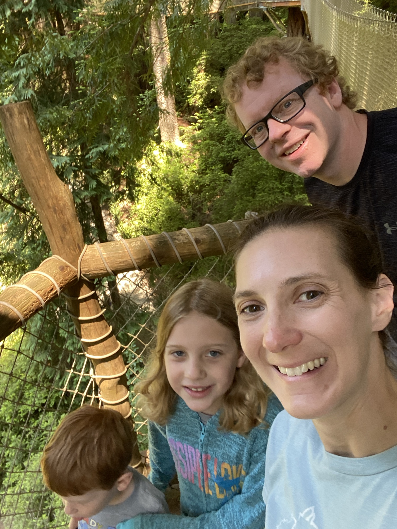 Day 9 &ndash; Fern Canyon and Trees of Mystery