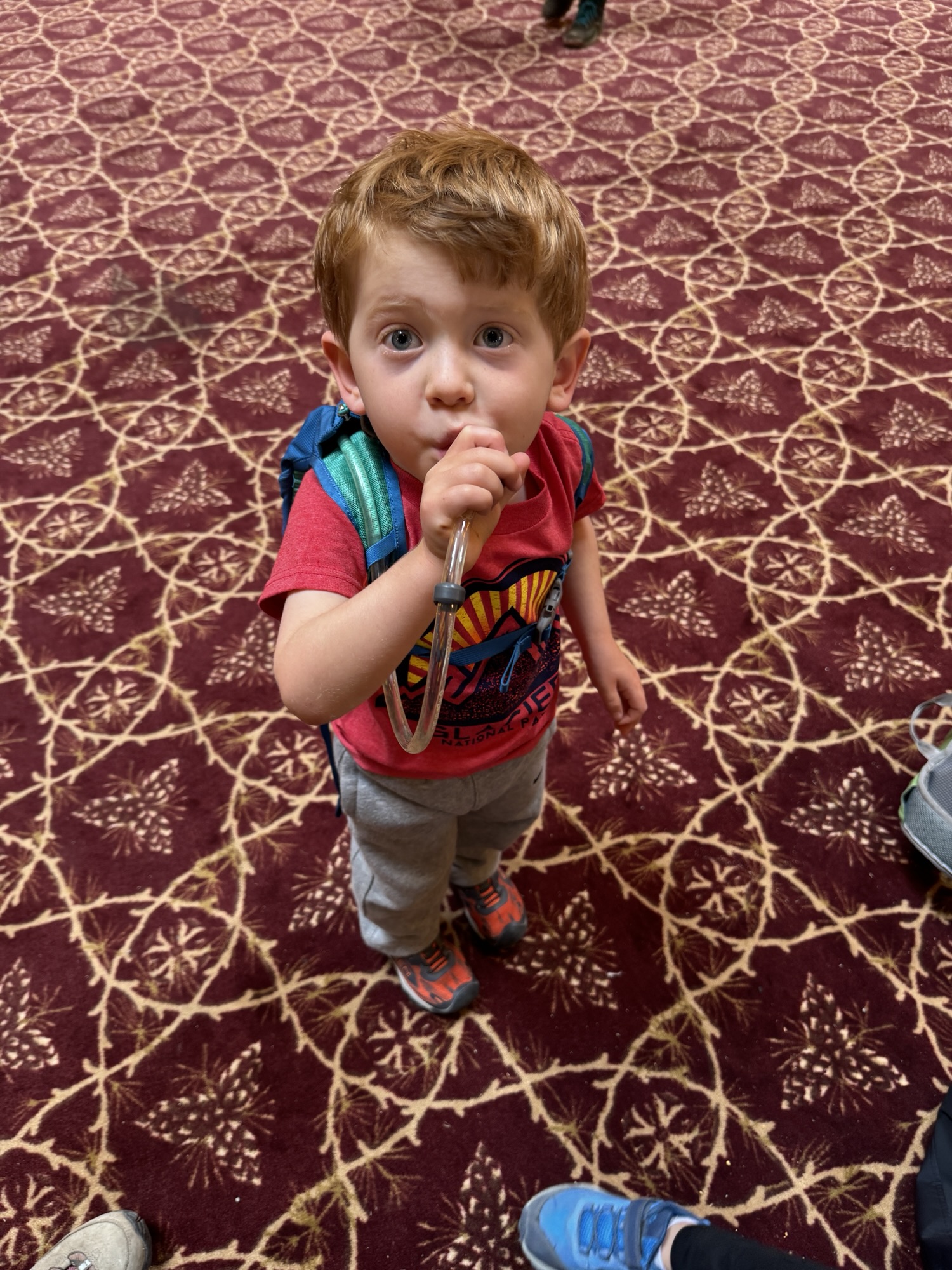 Day 19 &ndash; A Birthday Bear and Moose!